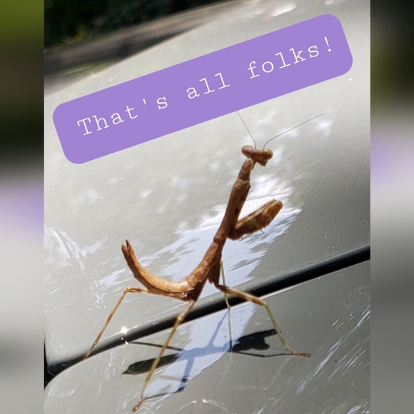 You have reached the end of the line - Picture 1 of 1